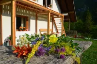Soča Home with the View