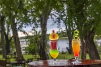 Azambezi River Lodge - ที่มีบาร์
