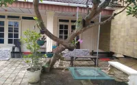 Inn Family Homestay