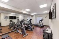Sleep Inn & Suites Carlsbad Caverns Area - Gym