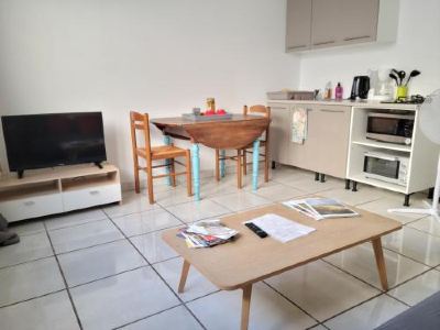 a small apartment with a dining table , chairs , and a television in the living room at Vichy