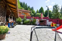 Pensiunea Cornelia Hotels in Azuga
