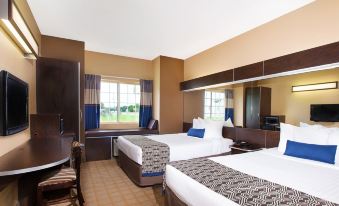 Microtel Inn & Suites by Wyndham Scott Lafayette