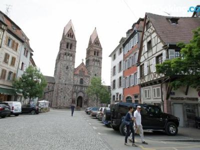 Gite le Caveau Sélestat - 30Min EuropaPark