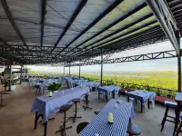 Bohol Vantage Resort - Frühstück
