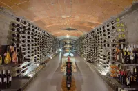 維斯塔貝拉酒店 - 酒吧
