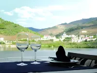 Hotel Folgosa Douro Hotels in Gouvinhas