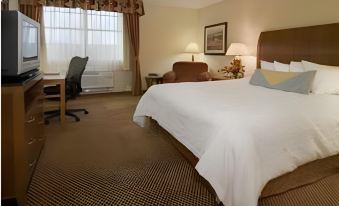 Hilton Garden Inn San Antonio Airport