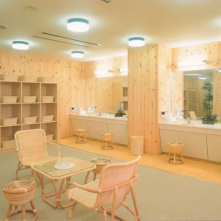 Hotel de Marronnier Gero Onsen