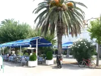 Guesthouse Aurora