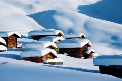 Valsana Hotel Arosa - Small Luxury Hotel Hotels in Ароза