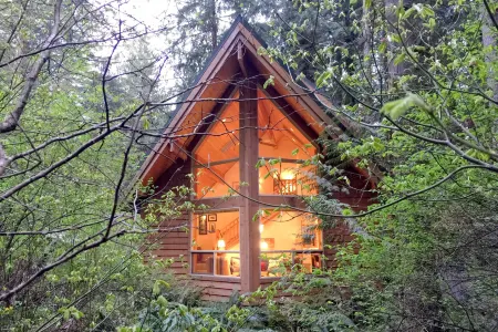 Snowline Cabin #4 - A Pet-Friendly Cedar Cabin with a Private Outdoor Hot Tub!