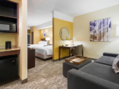 惠靈特瑞阿德爾福亞地區萬豪SpringHill酒店 惠靈酒店