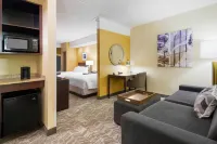SpringHill Suites Wheeling Triadelphia Area Hotels in Wheeling