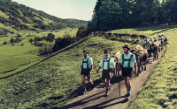 FeWo "Via Decia", Oberstaufen