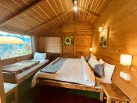 Blue Poppy Resort Hotels in Jyotirmath