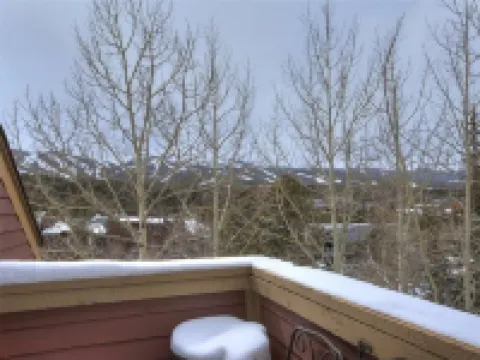 Spacious 2bd 2bth+den. Walk to slopes & Main St!