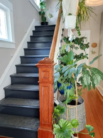 Billiken Inn, Private Loft in 2 Story Victorian