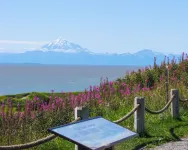 308 Moose Unit -  Kenai Minutes from downtown and two blocks to the Beach!