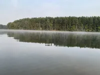 4PelicansOhio: Relaxing Cabin Near Leesville Lake ~Pets Welcome~ 2 Queens & 1F