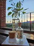 Villa Bruno Selvago in Lessona Barn with Vineyard Exclusive use Pets allowed