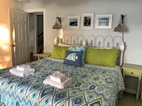 HUGE cove, DEEP water, KAYAKS, SUPs, fire pit & game room