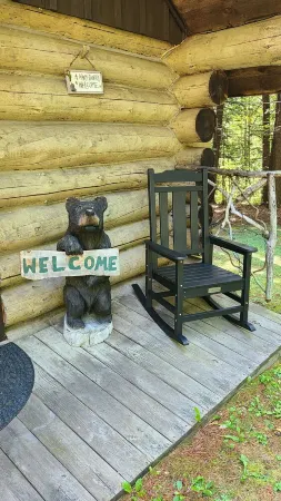 Cabin in the ADK! Close the Great Sacandaga, Lapland Lake & Snowmobile Trails! Отели в г. Бликер