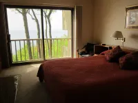 Homestead Condo, Beautiful View of Lake MI & Manitou Island