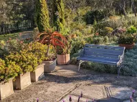 Valley View Cottage & Acres Hunter Valley Wine Region Hotels in Lovedale