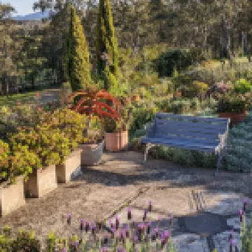 Valley View Cottage & Acres Hunter Valley Wine Region
