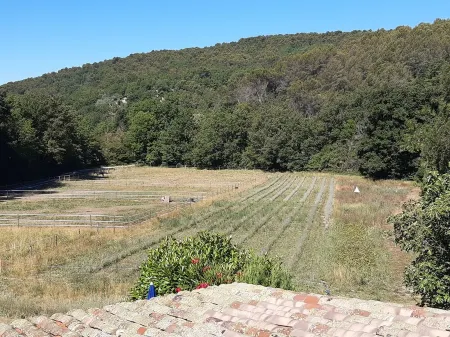 La ferme de Manon les Lavandes in an 18th century farmhouse Отели в г. Монфера