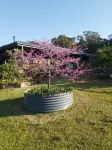 Island getaway near farmland, a bird sanctuary, nature walks, & close  to beach