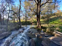 The River Cottage - Idyllic river side cottage