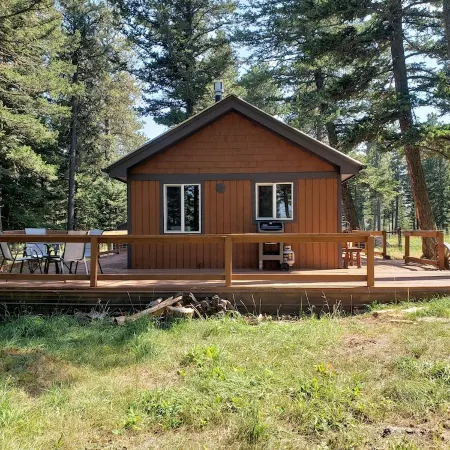 Remote cabin on 40 acres with wildlife and no distractions.