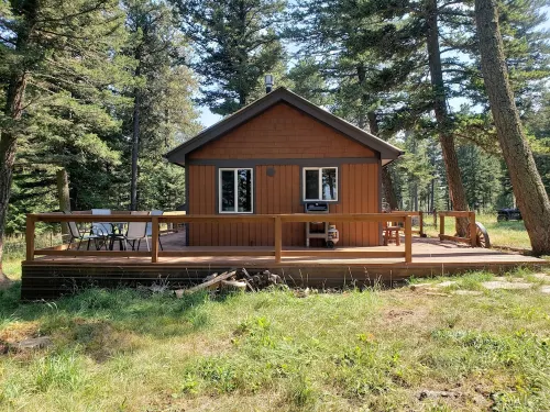 Remote cabin on 40 acres with wildlife and no distractions.
