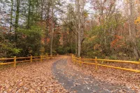 Dog-Friendly Cabin in Appalachian Mountains! -Near at, Firepit, with Hot Tub!