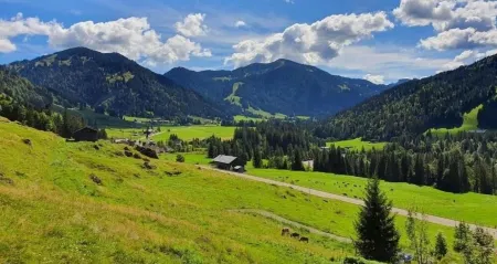 1-room apartment with mountain view on the ski slope with WiFi, Netflix, Prime