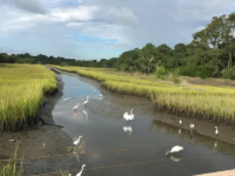 Tranquil villa just steps from the beach! Hotels in Kiawah Island