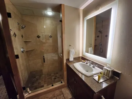 1 Bedrm Condo - Ski In / Out, Available Pres Week from 3 to 7 nights - Sleeps 4