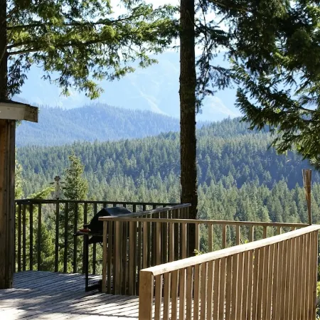 "Eagles Nest Cabin" REMOTE ESCAPE AWAY FROM EVERYTHING!