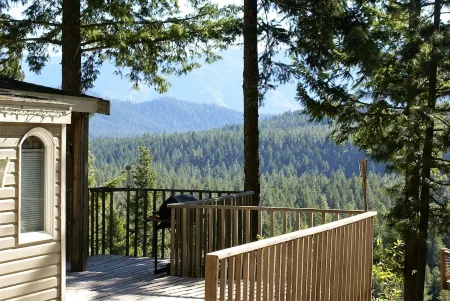 "Eagles Nest Cabin" REMOTE ESCAPE AWAY FROM EVERYTHING!