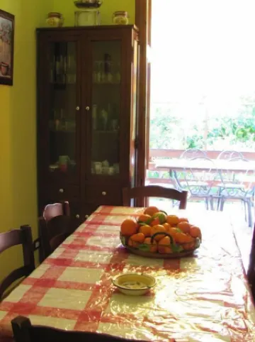 Cottage in the lemon grove on the sea