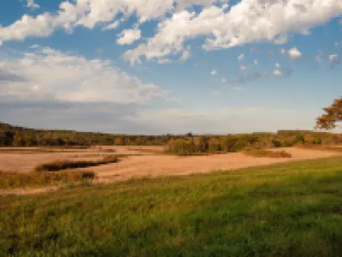 On the Wine Trail - Shawnee & Giant City Minutes Away- Jetted Tubs Hotels in Union County