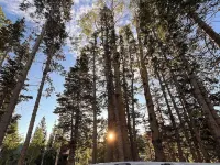 Chalet Black: Modern Ski Resort Haven in Wooded Paradise! 4 queen beds Hotels in Brian Head