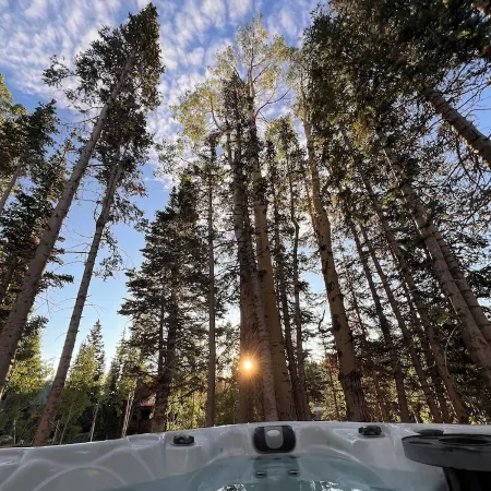 Chalet Black: Modern Ski Resort Haven in Wooded Paradise! 4 queen beds