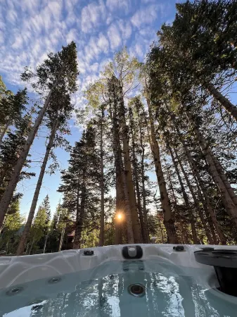 Chalet Black: Modern Ski Resort Haven in Wooded Paradise! 4 queen beds Отели в г. Брайан Хед