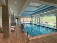 Embassy Suites by Hilton Alpharetta Halcyon - piscina