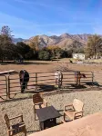 Tiny house experience with horses, goats and pigs. Near Sequoia National Park