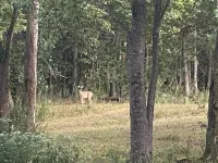 Your Private Country Escape 1/2 Mile from Rend Lake – A Hidden Gem!