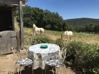 Le Charme Authentique et Bohème de la Pleine Nature Dans le Golfe de St Tropez